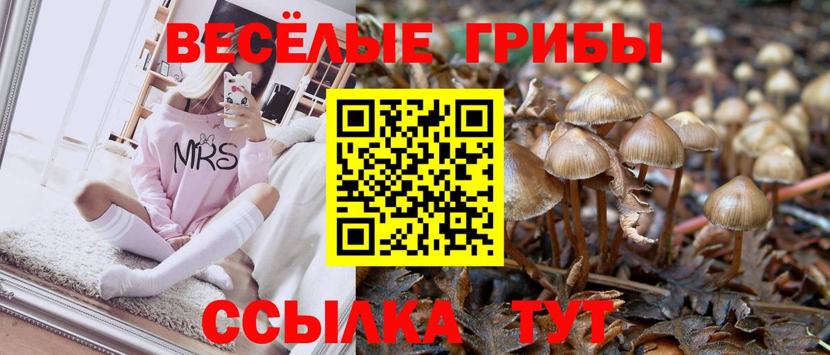 Усинск  Псилоцибиновые грибы мухоморы  Галлюциногенные грибы GOLDEN TEACHER  Вход с VPN 