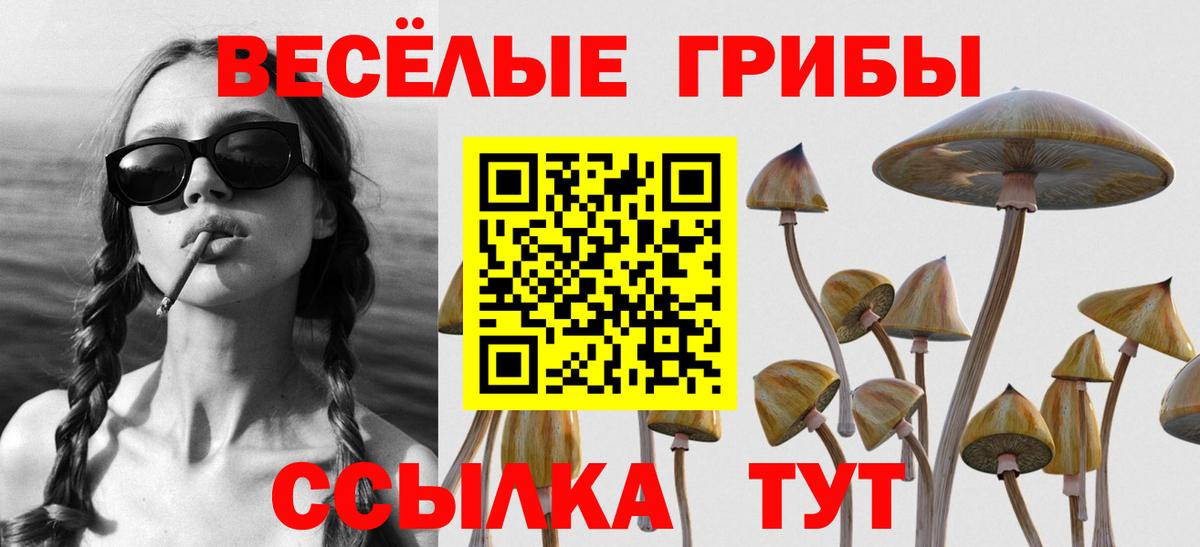 Галлюциногенные грибы Psilocybine cubensis Усинск